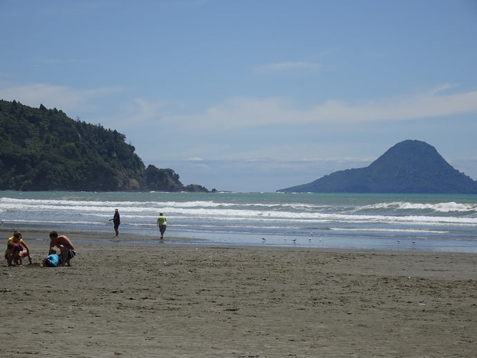 Monday 29 January 2018 is a Public Holiday