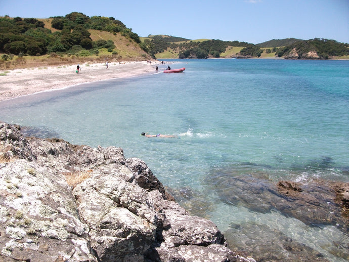 Delay in shipping orders from Monday 12 March until Thursday 15 March