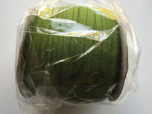 Load image into Gallery viewer, 150 Yard / 136.5m Roll military Green Fold Over Elastic FOE  20mm wide