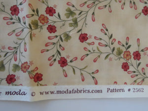 Rhubarb and Ginger by Blackbird designs for Moda 100% cotton. 43cm long x 114 cm wide