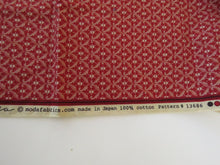 Load image into Gallery viewer, Roue Indienne by French General for  Moda Fabrics  100% cotton. 80cm long x 114 cm wide