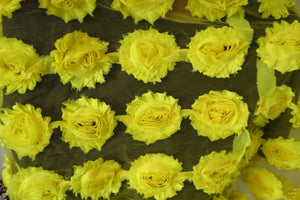 4 Bright Yellow Shabby Chic Large Flowers 50-60mm wide on mesh backing